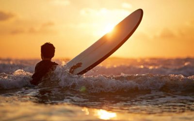 Evento Proyecto SurFedAUT