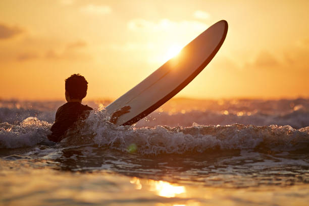Evento Proyecto SurFedAUT